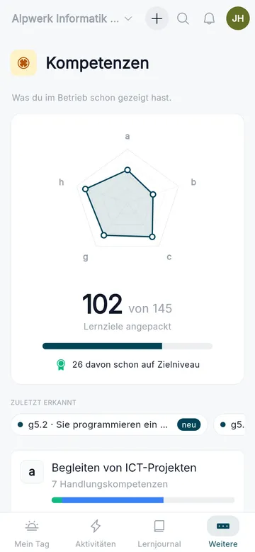 Kompetenz-Spinnennetz über die Handlungskompetenzbereiche am Handy